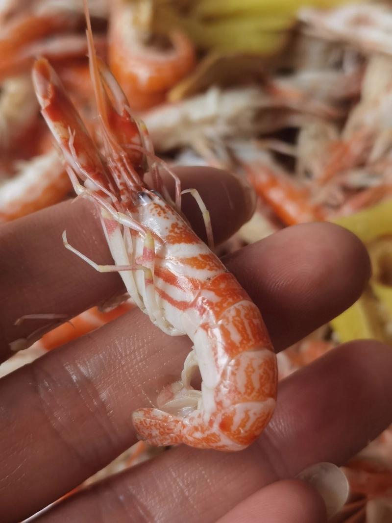 狗狗可以吃鳕鱼吗，小狗可以吃鳕鱼吗?？-第5张图片-后鲨宠物