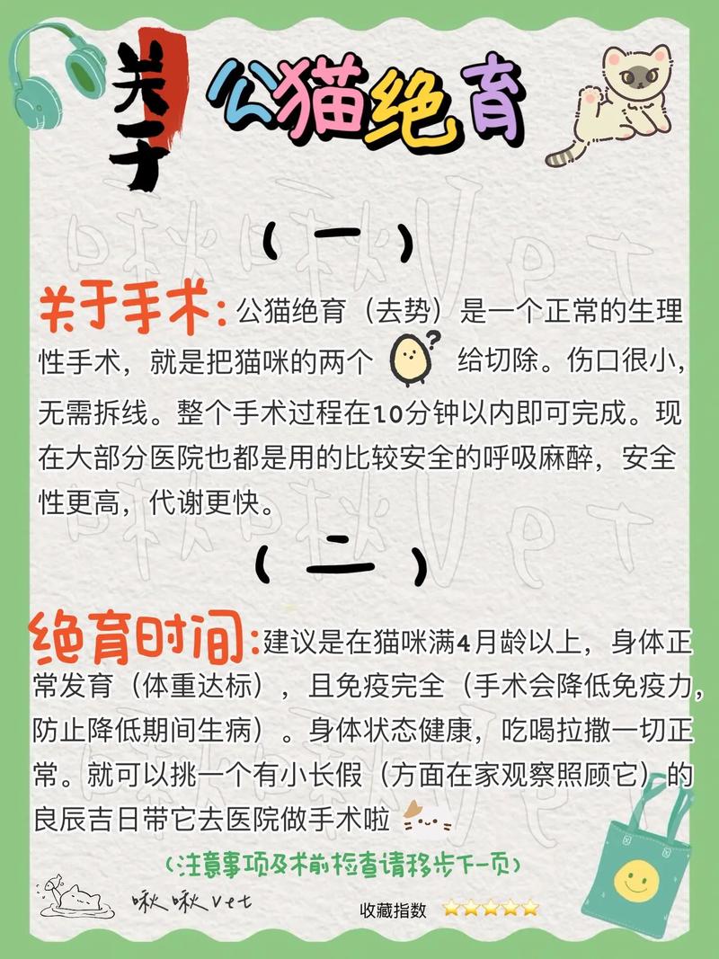 猫咪消炎针一般打几天_猫咪消炎针必须打三天吗-第2张图片-后鲨宠物 猫咪消炎针一般打几天_猫咪消炎针必须打三天吗-第2张图片-后鲨宠物