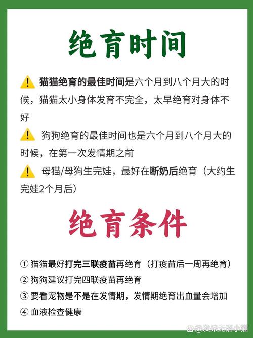 猫咪消炎针一般打几天_猫咪消炎针必须打三天吗-第3张图片-后鲨宠物 猫咪消炎针一般打几天_猫咪消炎针必须打三天吗-第3张图片-后鲨宠物