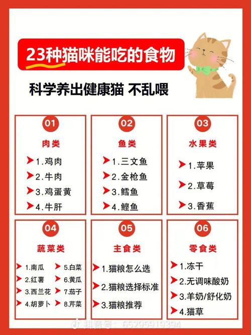 三个月大的猫咪吃什么,三个月大的猫咪吃什么缓解消化不良?-第5张图片-后鲨宠物 三个月大的猫咪吃什么,三个月大的猫咪吃什么缓解消化不良?-第5张图片-后鲨宠物