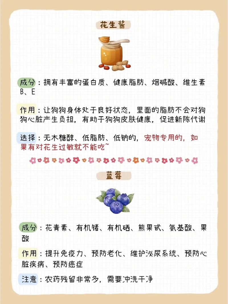 狗狗分娩后吃什么好_狗狗生产完吃什么有营养-第2张图片-后鲨宠物 狗狗分娩后吃什么好_狗狗生产完吃什么有营养-第2张图片-后鲨宠物
