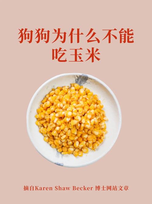 狗狗能吃玉米肠吗，狗狗可以吃玉米香肠吗?？