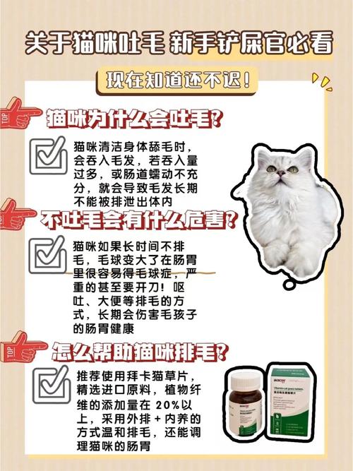 猫咪吐毛球吐不出来_猫咪吐毛球吐不出来一直干呕-第3张图片-后鲨宠物
