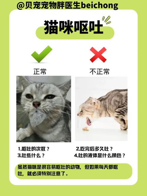 猫咪吐毛球吐不出来_猫咪吐毛球吐不出来一直干呕-第4张图片-后鲨宠物