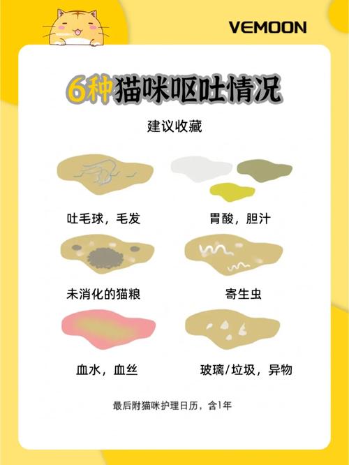 猫咪吐血是怎么回事,猫咪吐血是怎么回事吃什么药-第4张图片-后鲨宠物 猫咪吐血是怎么回事,猫咪吐血是怎么回事吃什么药-第4张图片-后鲨宠物