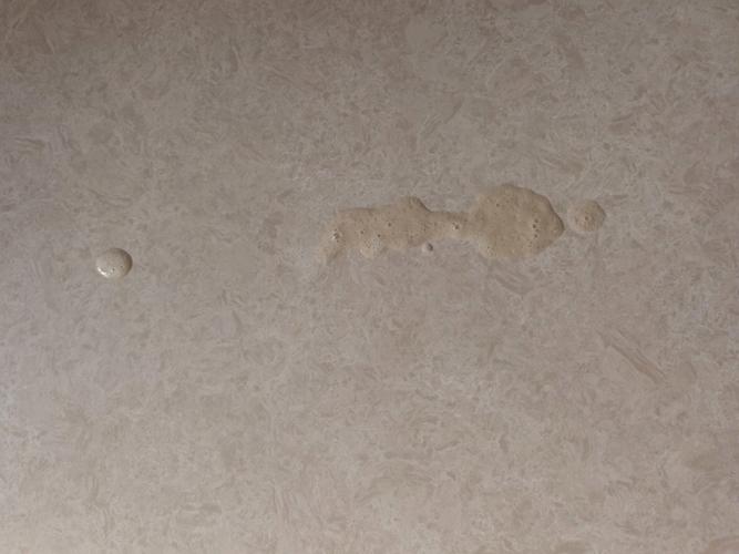 猫咪吐血是怎么回事,猫咪吐血是怎么回事吃什么药-第6张图片-后鲨宠物 猫咪吐血是怎么回事,猫咪吐血是怎么回事吃什么药-第6张图片-后鲨宠物