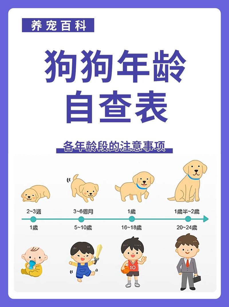 狗狗几个月为一岁,狗狗几个月到一岁-第1张图片-后鲨宠物 狗狗几个月为一岁,狗狗几个月到一岁-第1张图片-后鲨宠物