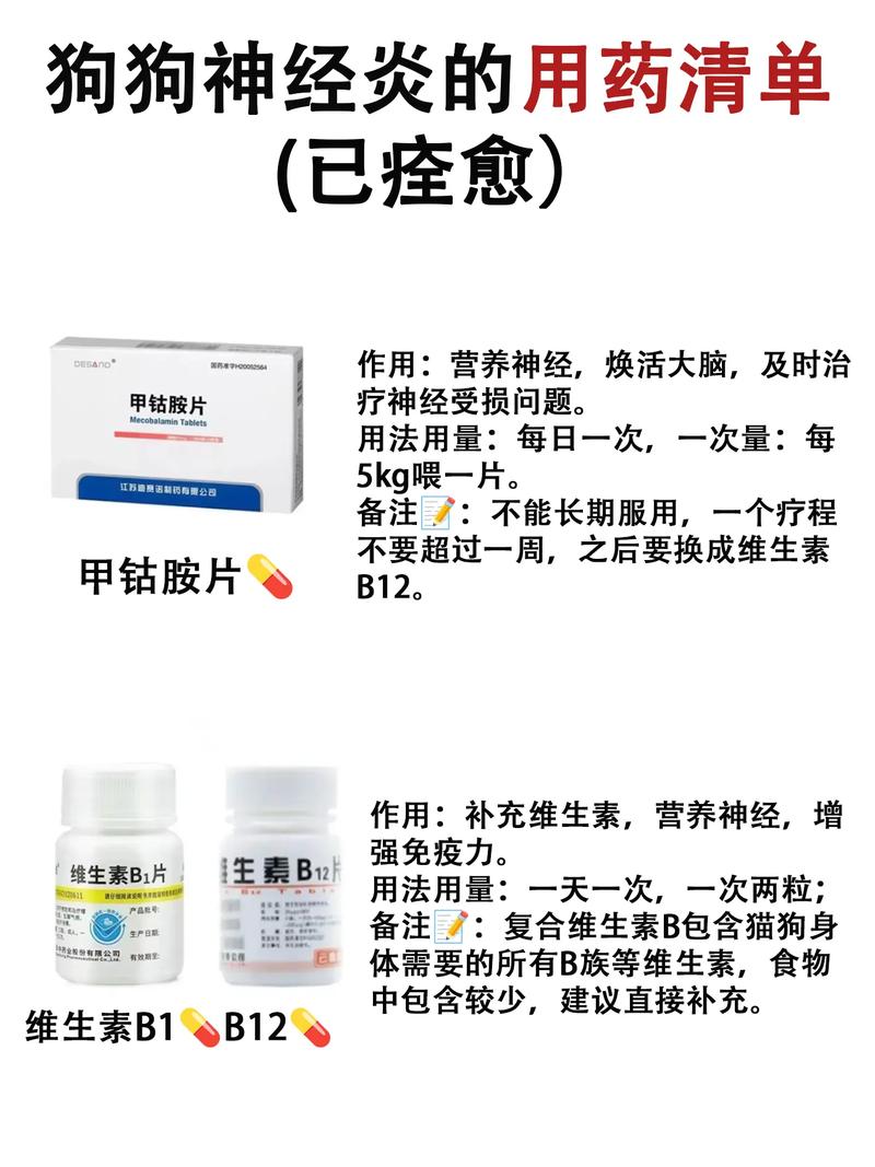 狗狗脑炎怎么治疗_狗狗脑炎怎么治疗和预防-第1张图片-后鲨宠物 狗狗脑炎怎么治疗_狗狗脑炎怎么治疗和预防-第1张图片-后鲨宠物