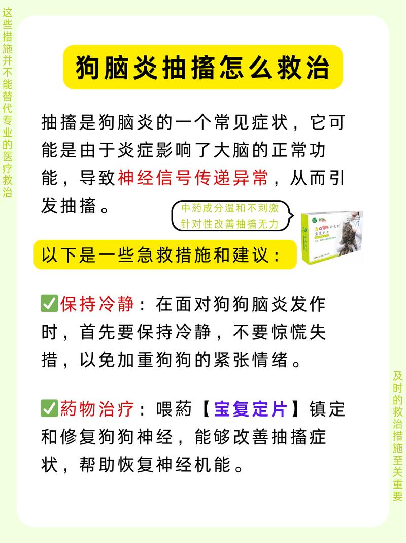 狗狗脑炎怎么治疗_狗狗脑炎怎么治疗和预防-第3张图片-后鲨宠物 狗狗脑炎怎么治疗_狗狗脑炎怎么治疗和预防-第3张图片-后鲨宠物