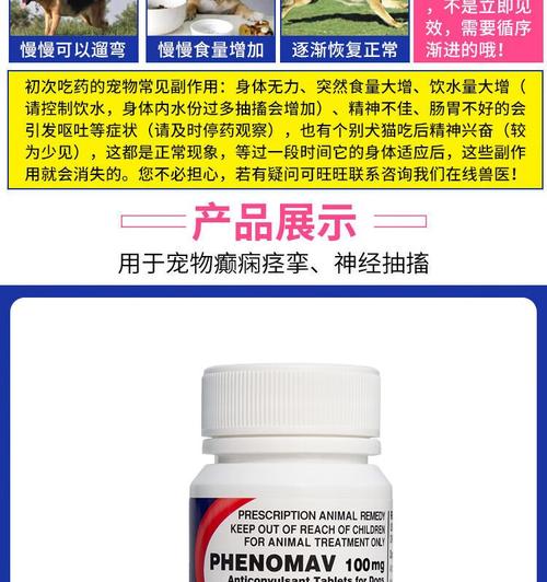 狗狗脑炎怎么治疗_狗狗脑炎怎么治疗和预防-第4张图片-后鲨宠物 狗狗脑炎怎么治疗_狗狗脑炎怎么治疗和预防-第4张图片-后鲨宠物