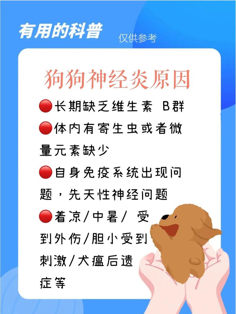 狗狗脑炎怎么治疗_狗狗脑炎怎么治疗和预防-第6张图片-后鲨宠物 狗狗脑炎怎么治疗_狗狗脑炎怎么治疗和预防-第6张图片-后鲨宠物