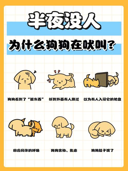 狗狗老叫怎么办,狗狗老叫怎么办呢-第2张图片-后鲨宠物 狗狗老叫怎么办,狗狗老叫怎么办呢-第2张图片-后鲨宠物