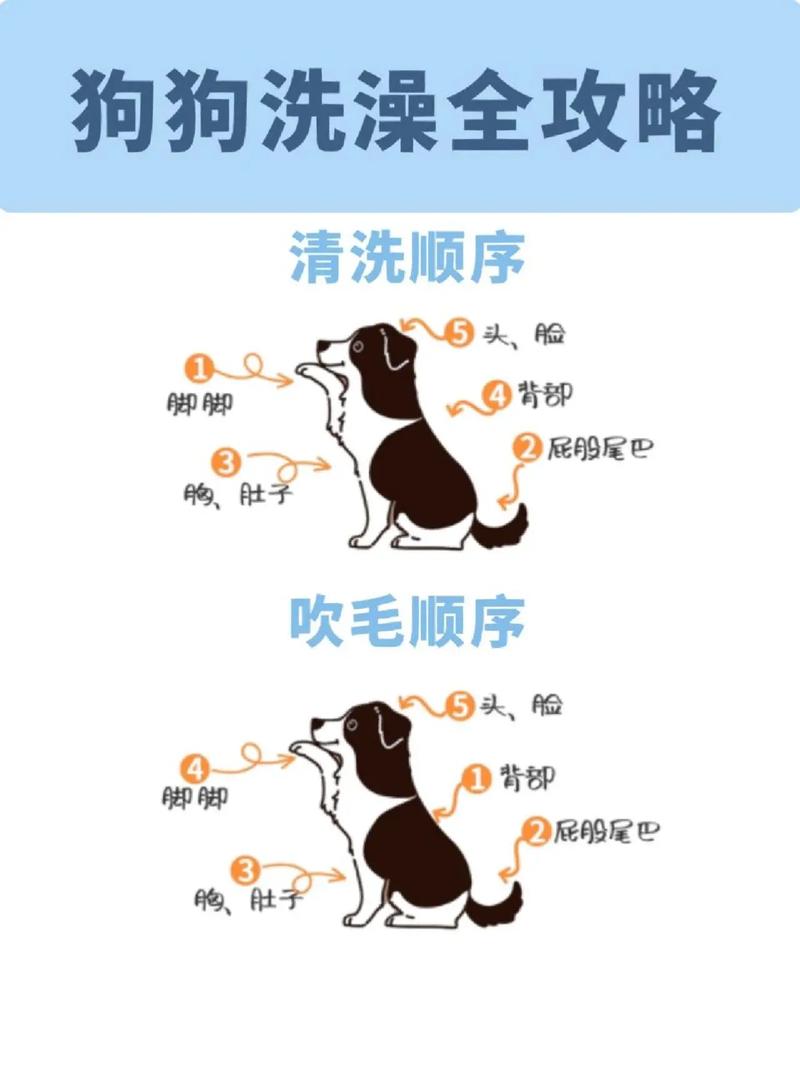 狗狗多大能洗澡,狗狗多大能洗澡用多少度的水-第3张图片-后鲨宠物 狗狗多大能洗澡,狗狗多大能洗澡用多少度的水-第3张图片-后鲨宠物
