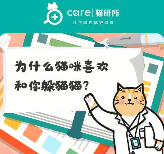 猫咪为什么喜欢躲猫猫，猫为什么喜欢躲着人？-第5张图片-后鲨宠物