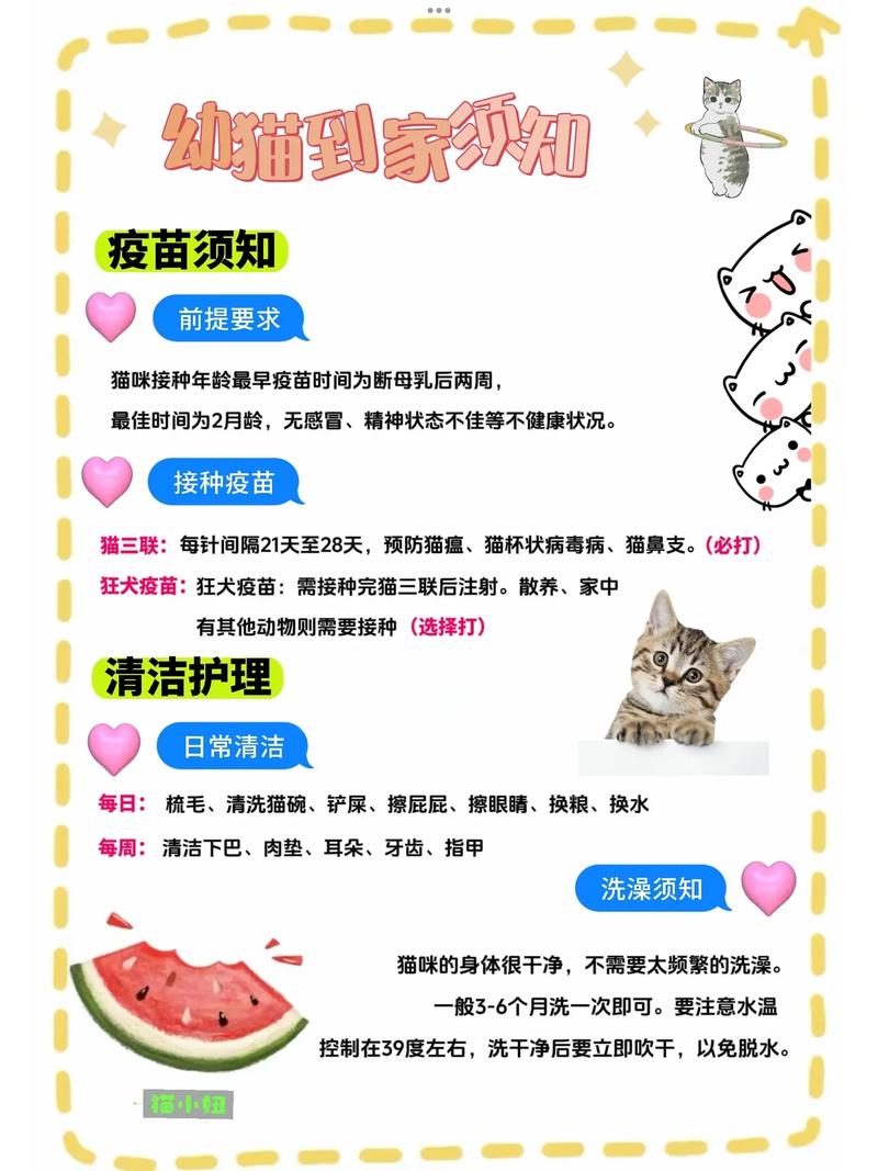 养猫咪的注意事项,养猫咪的注意事项和禁忌?-第5张图片-后鲨宠物 养猫咪的注意事项,养猫咪的注意事项和禁忌?-第5张图片-后鲨宠物