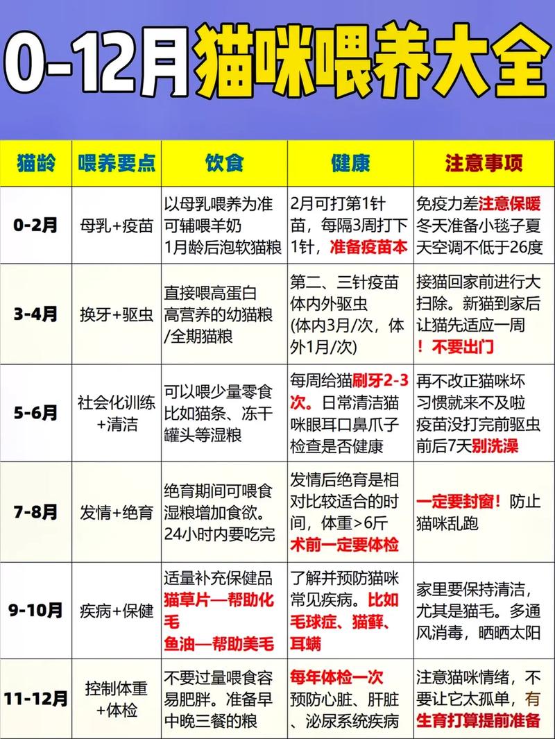 养猫咪的注意事项,养猫咪的注意事项和禁忌?-第4张图片-后鲨宠物 养猫咪的注意事项,养猫咪的注意事项和禁忌?-第4张图片-后鲨宠物