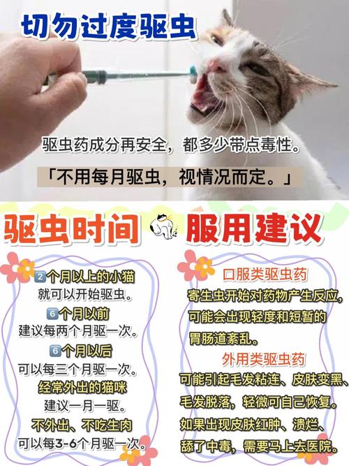 猫咪体内驱虫药怎么吃_猫咪体内驱虫药吃多了怎么办