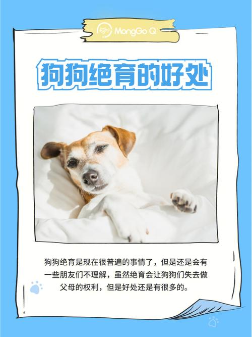 狗狗绝育的坏处_狗狗绝育对身体好吗-第3张图片-后鲨宠物 狗狗绝育的坏处_狗狗绝育对身体好吗-第3张图片-后鲨宠物