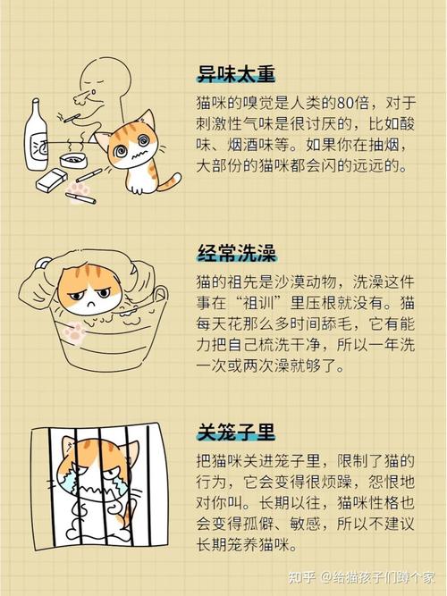 猫咪为什么不喜欢被亲_猫咪为什么不喜欢亲嘴巴呢-第3张图片-后鲨宠物 猫咪为什么不喜欢被亲_猫咪为什么不喜欢亲嘴巴呢-第3张图片-后鲨宠物