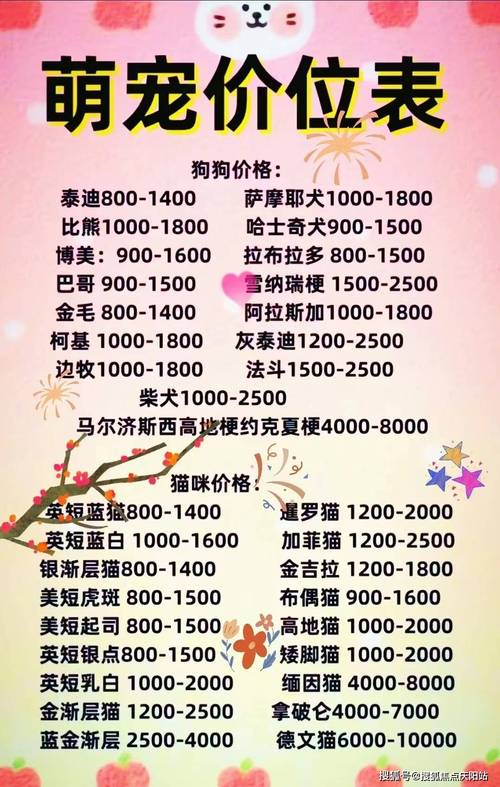 泰迪狗狗多少钱一只,白色泰迪狗多少钱一只-第6张图片-后鲨宠物 泰迪狗狗多少钱一只,白色泰迪狗多少钱一只-第6张图片-后鲨宠物