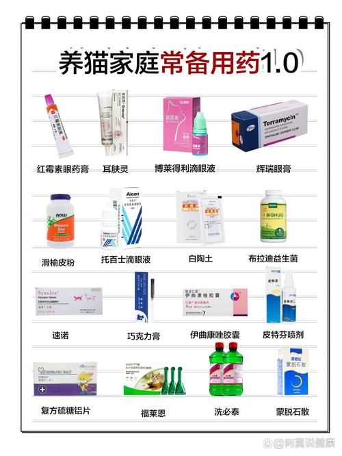 猫咪眼睛发炎用什么药,猫咪眼睛发炎用什么药好得快?-第4张图片-后鲨宠物 猫咪眼睛发炎用什么药,猫咪眼睛发炎用什么药好得快?-第4张图片-后鲨宠物