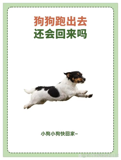 狗狗可以寄快递回家吗，狗狗可以邮寄回家吗?？-第3张图片-后鲨宠物