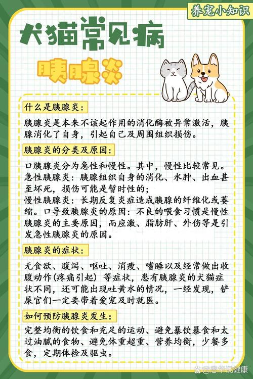 猫咪胰腺炎有什么症状,猫咪胰腺炎怎么治疗最有效-第1张图片-后鲨宠物 猫咪胰腺炎有什么症状,猫咪胰腺炎怎么治疗最有效-第1张图片-后鲨宠物