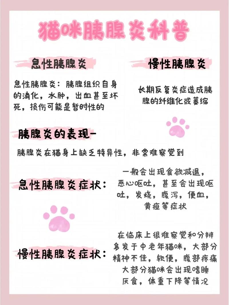 猫咪胰腺炎有什么症状,猫咪胰腺炎怎么治疗最有效-第4张图片-后鲨宠物 猫咪胰腺炎有什么症状,猫咪胰腺炎怎么治疗最有效-第4张图片-后鲨宠物