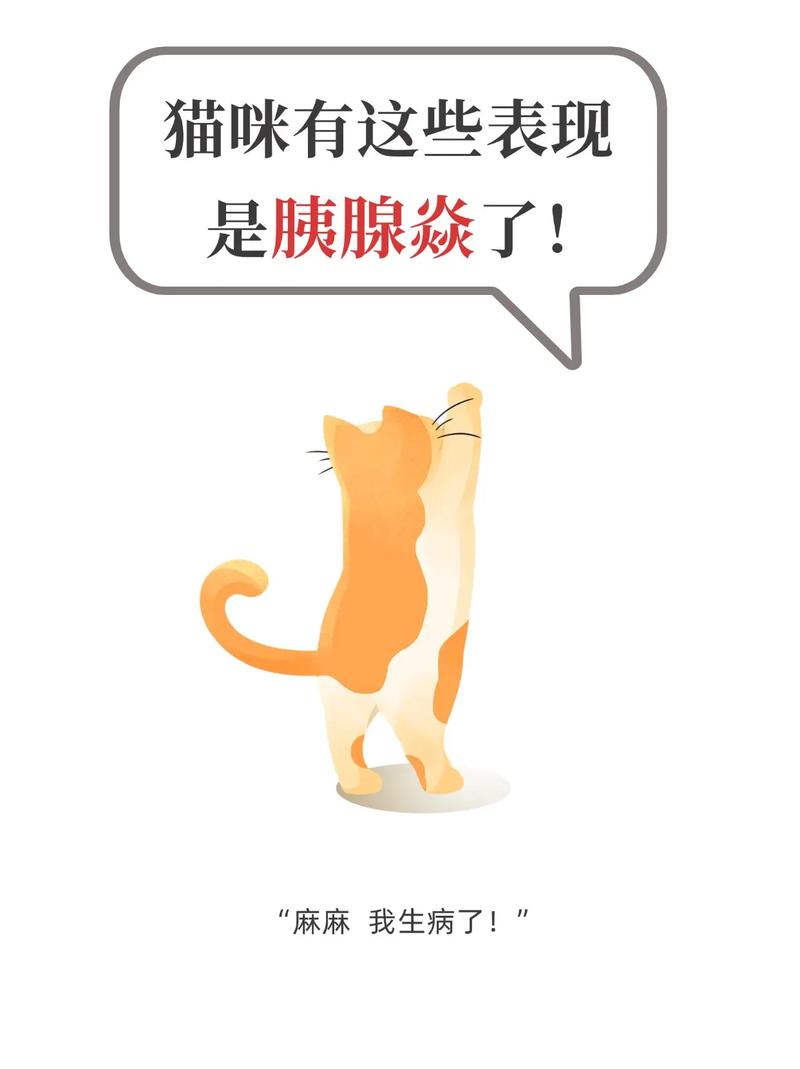 猫咪胰腺炎有什么症状,猫咪胰腺炎怎么治疗最有效-第5张图片-后鲨宠物 猫咪胰腺炎有什么症状,猫咪胰腺炎怎么治疗最有效-第5张图片-后鲨宠物