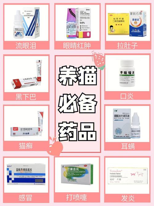 猫咪嗓子发炎用什么药_猫喉咙发炎失声了怎么办-第6张图片-后鲨宠物 猫咪嗓子发炎用什么药_猫喉咙发炎失声了怎么办-第6张图片-后鲨宠物