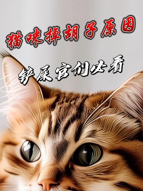 猫咪掉胡子怎么回事_猫咪掉胡子是正常的吗