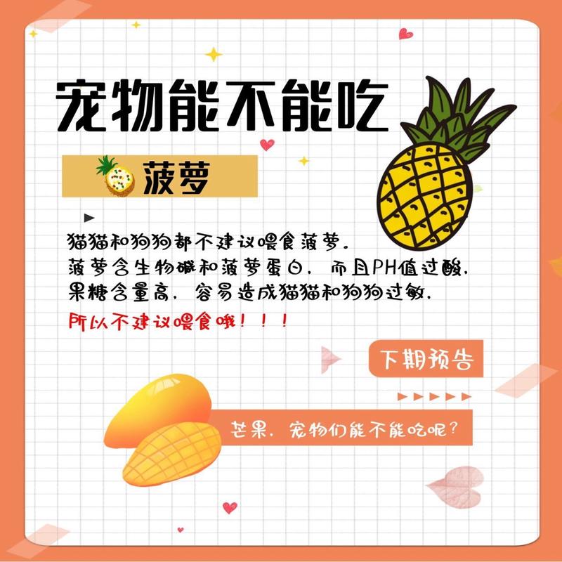 猫咪能吃菠萝吗_猫咪能吃菠萝吗为什么-第2张图片-后鲨宠物 猫咪能吃菠萝吗_猫咪能吃菠萝吗为什么-第2张图片-后鲨宠物