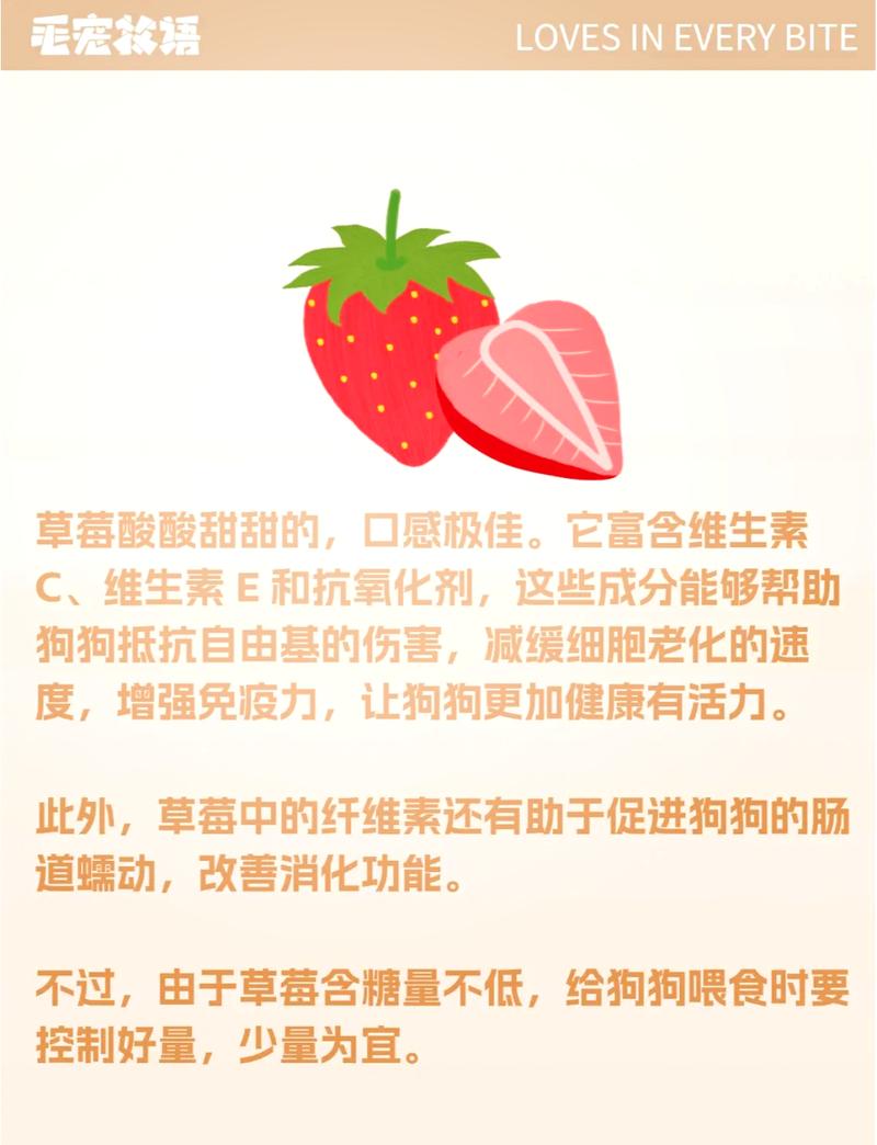 狗狗可以吃大枣吗,狗狗可不可以吃大枣?-第5张图片-后鲨宠物 狗狗可以吃大枣吗,狗狗可不可以吃大枣?-第5张图片-后鲨宠物