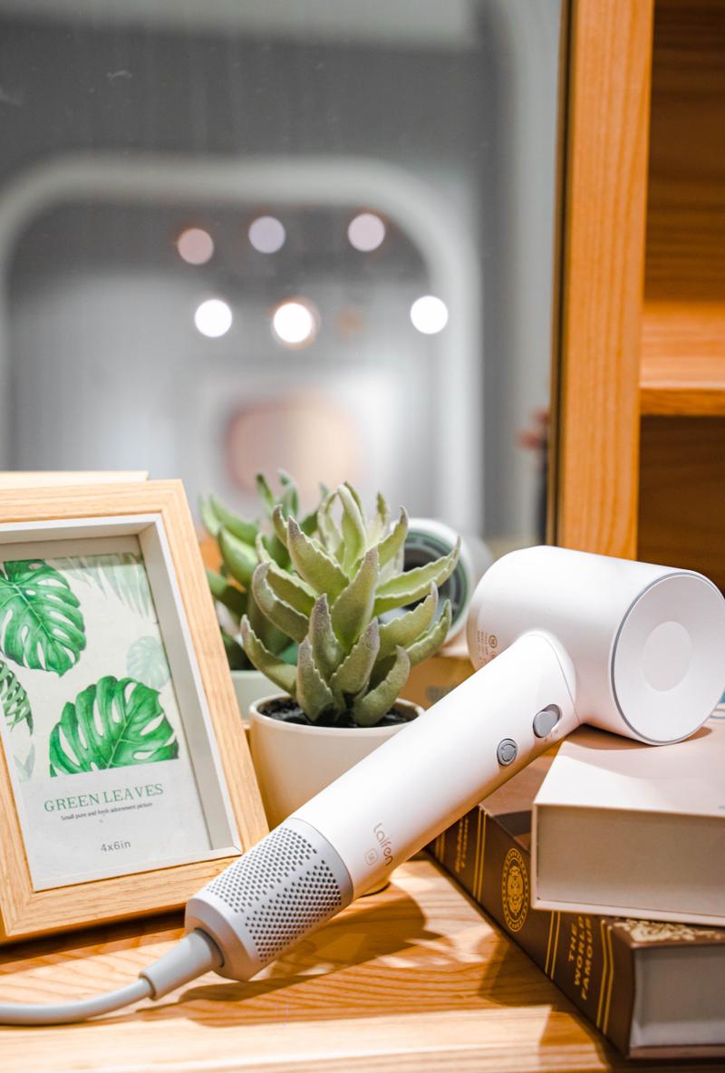 狗狗吹风机什么牌子好_狗狗专用吹风机哪个牌子好