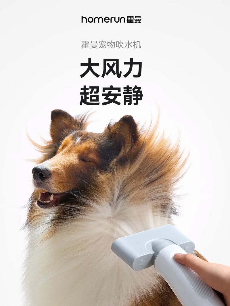 狗狗吹风机什么牌子好_狗狗专用吹风机哪个牌子好-第6张图片-后鲨宠物 狗狗吹风机什么牌子好_狗狗专用吹风机哪个牌子好-第6张图片-后鲨宠物