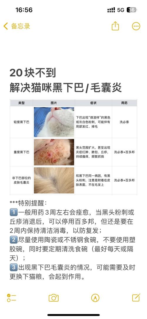 猫咪下唇红肿怎么治疗,猫咪下唇红肿怎么治疗好?-第3张图片-后鲨宠物 猫咪下唇红肿怎么治疗,猫咪下唇红肿怎么治疗好?-第3张图片-后鲨宠物