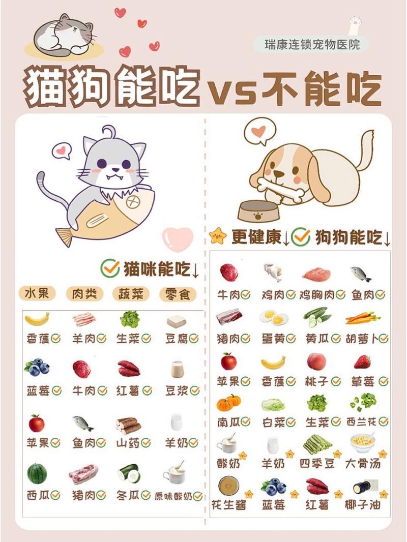 猫咪只吃不拉屎怎么办，猫咪只吃不拉屎怎么办呢？-第3张图片-后鲨宠物