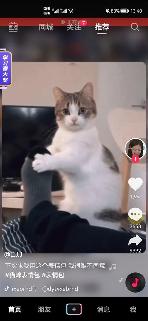 猫咪转圈会晕吗,猫咪转圈会头晕吗-第4张图片-后鲨宠物 猫咪转圈会晕吗,猫咪转圈会头晕吗-第4张图片-后鲨宠物