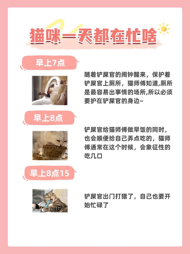 猫咪乱叫怎么办_猫咪乱叫怎么办才能听懂-第3张图片-后鲨宠物 猫咪乱叫怎么办_猫咪乱叫怎么办才能听懂-第3张图片-后鲨宠物