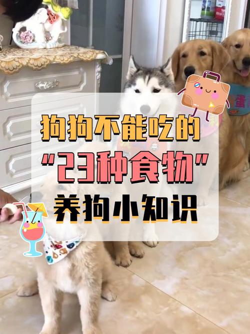 狗狗能吃韭菜吗,狗狗能吃韭菜吗熟的?-第4张图片-后鲨宠物 狗狗能吃韭菜吗,狗狗能吃韭菜吗熟的?-第4张图片-后鲨宠物