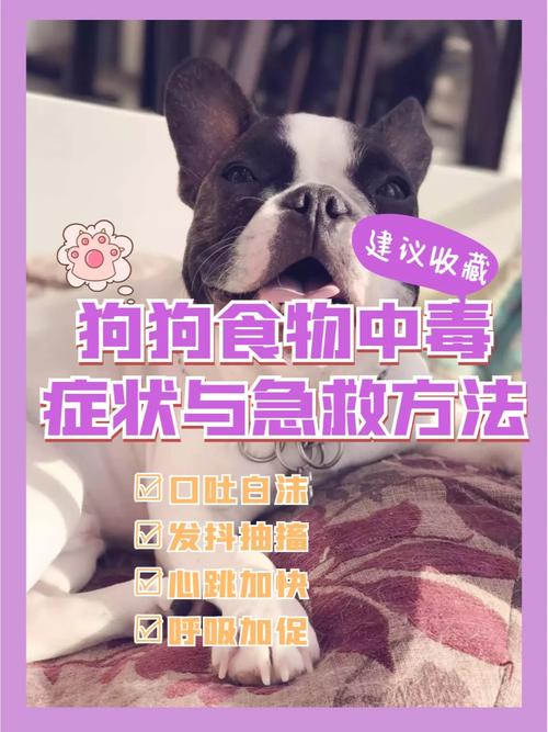 狗狗吃了有毒的东西怎么办_狗吃了有毒的东西有什么症状-第3张图片-后鲨宠物 狗狗吃了有毒的东西怎么办_狗吃了有毒的东西有什么症状-第3张图片-后鲨宠物