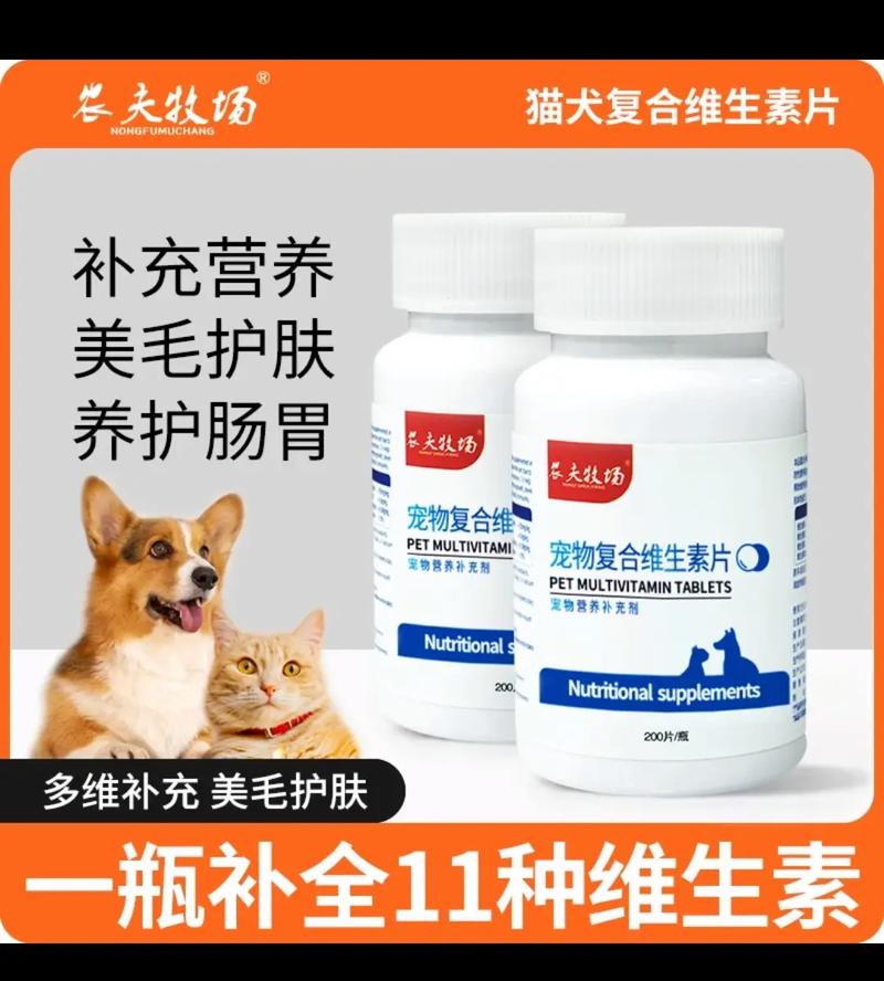 狗狗掉毛吃维生素b几,狗狗掉毛吃维生素几管用-第2张图片-后鲨宠物 狗狗掉毛吃维生素b几,狗狗掉毛吃维生素几管用-第2张图片-后鲨宠物
