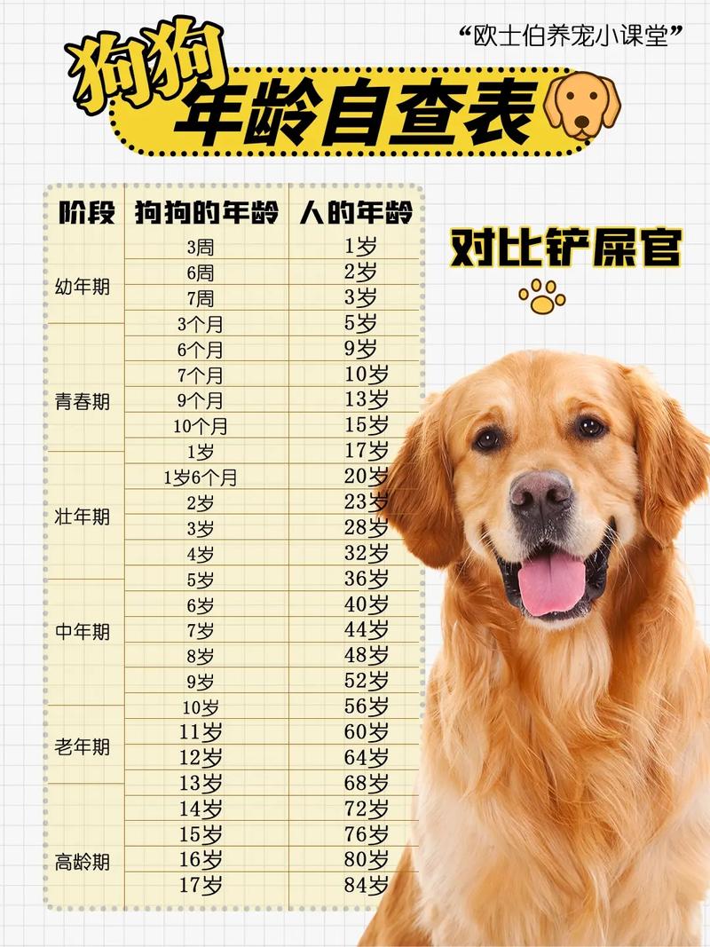 狗狗换毛期是什么时候,狗狗一般换毛期是什么时候-第3张图片-后鲨宠物 狗狗换毛期是什么时候,狗狗一般换毛期是什么时候-第3张图片-后鲨宠物