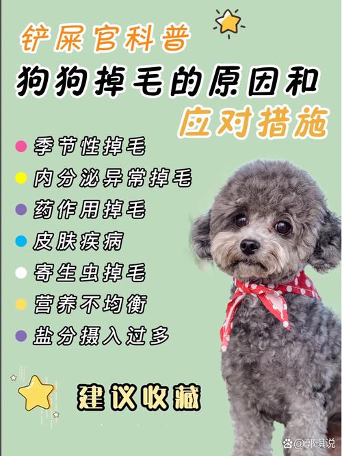 狗狗换毛期是什么时候,狗狗一般换毛期是什么时候-第4张图片-后鲨宠物 狗狗换毛期是什么时候,狗狗一般换毛期是什么时候-第4张图片-后鲨宠物