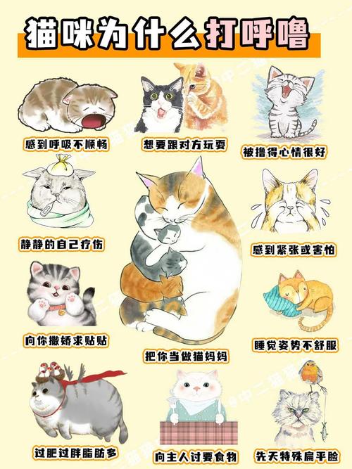 猫咪睡觉为什么打呼噜_猫为什睡觉时打呼噜-第2张图片-后鲨宠物