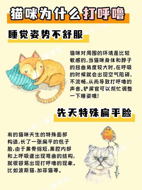 猫咪睡觉为什么打呼噜_猫为什睡觉时打呼噜-第3张图片-后鲨宠物
