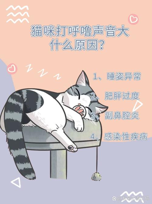 猫咪睡觉为什么打呼噜_猫为什睡觉时打呼噜-第4张图片-后鲨宠物