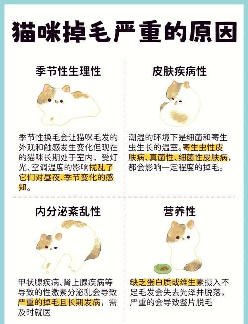 猫咪脱毛是什么原因_猫咪脱毛该怎么办-第3张图片-后鲨宠物 猫咪脱毛是什么原因_猫咪脱毛该怎么办-第3张图片-后鲨宠物