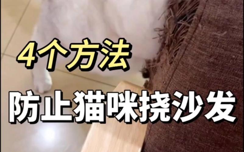  如何让猫咪不抓沙发，如何让猫咪不抓沙发上的毛