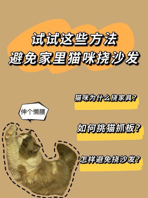 如何让猫咪不抓沙发,如何让猫咪不抓沙发上的毛-第6张图片-后鲨宠物 如何让猫咪不抓沙发,如何让猫咪不抓沙发上的毛-第6张图片-后鲨宠物